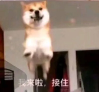 1646462169885085129.png 1646462169885085129.png