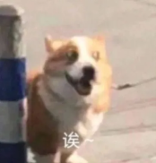 1646462721675009668.png 1646462721675009668.png