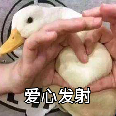 887464e8a2970601f0572e477a4131cc.png